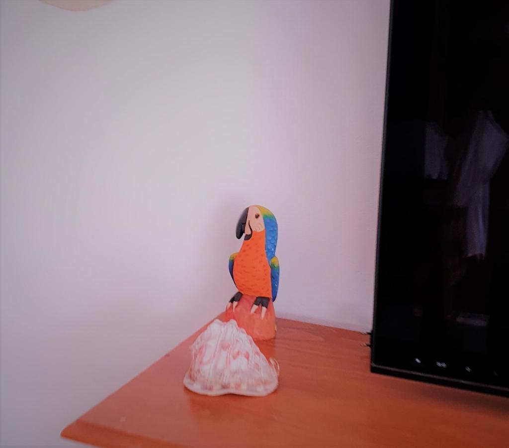 Apartamentos La Libertad Estepona Esterno foto